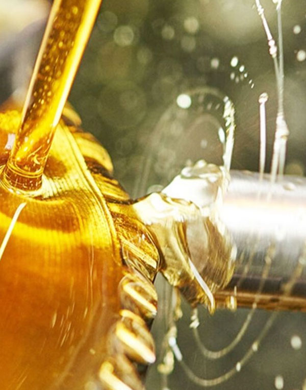 Industrial Gear Oil